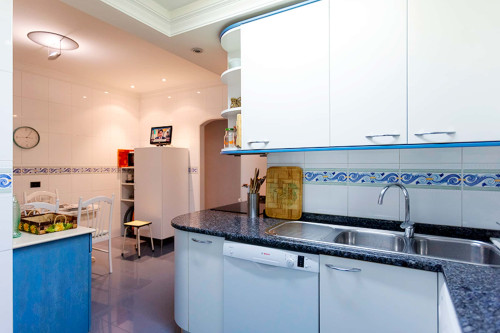 Calle Manuel Allende H1