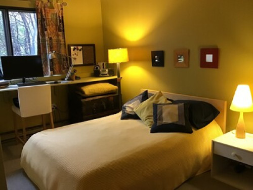 Country air in the city