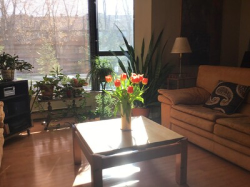 Country air in the city