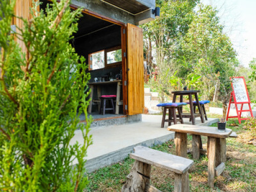 Lean about Culture and Thai foods. - Gallery - 27