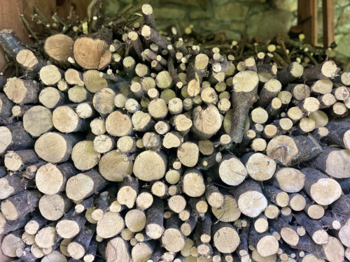 Remote Work and Community Connection in Nature's Embrace at Villegar