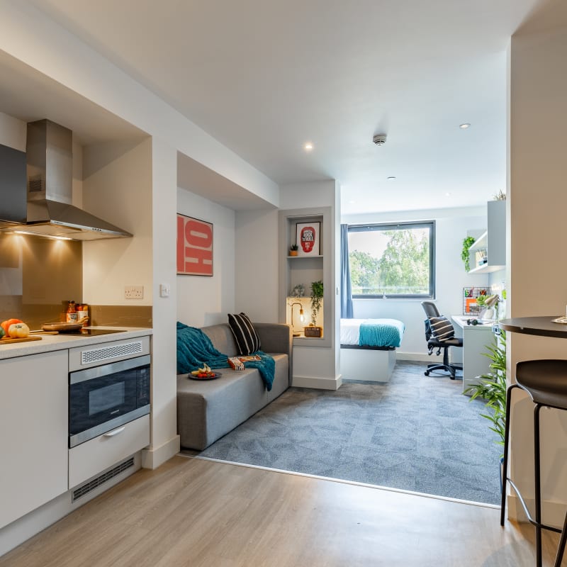 True Premium Studio With City Views  -  Salford  - Gallery -  3