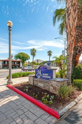 The Palms on University