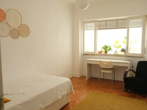 Bright Room, University of Lisbon