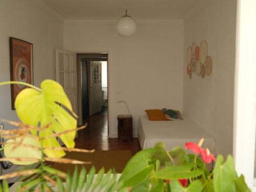 Bright Room, University of Lisbon