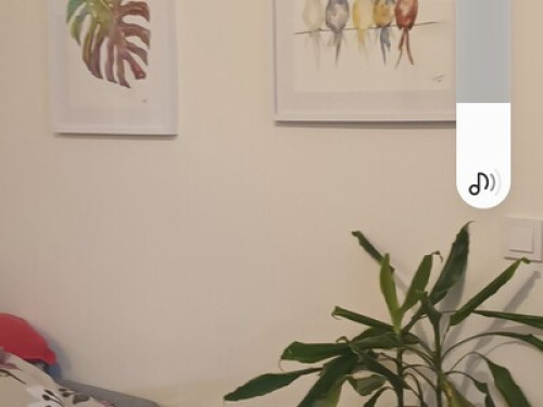 Bright room, renovated apartment - Gallery - 11