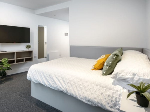 True Sheffield - Gallery - 32