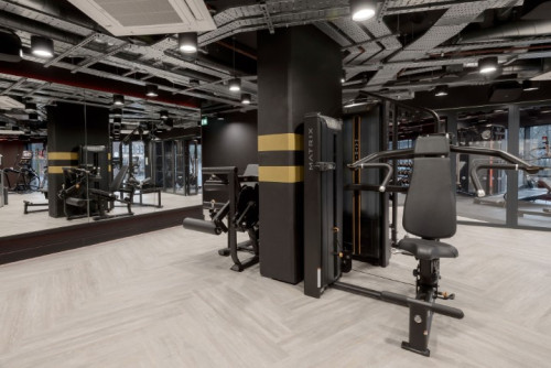 True Sheffield  - Gallery -  5