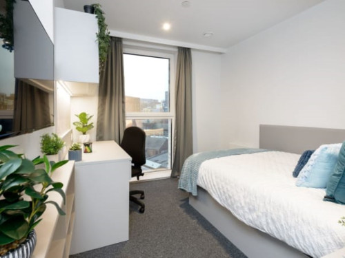True Sheffield - Gallery - 40