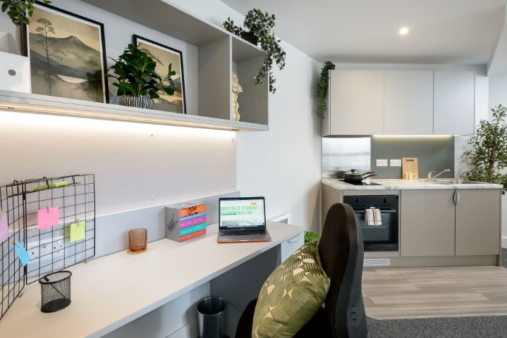 True Sky Superior Studio - True Sheffield - Gallery - 3