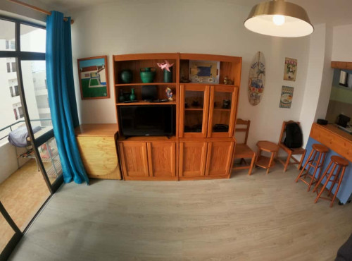 Bright T1 Apartment with balcony in Algarve, Quarteira (SEP-MAY Only) - Gallery - 7