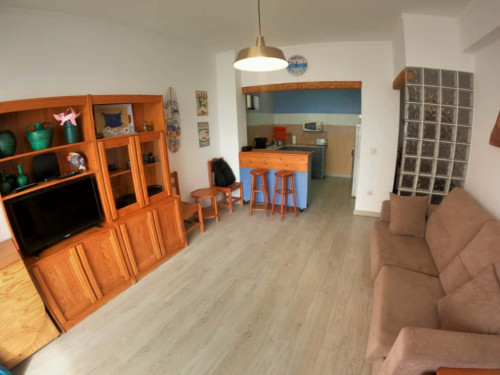 Bright T1 Apartment with balcony in Algarve, Quarteira (SEP-MAY Only) - Gallery - 6