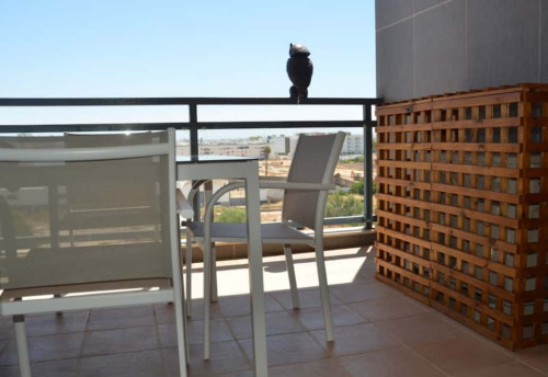 T2 Apartment with pool in Algarve, Olhão (SEP-MAY Only) - Gallery - 10