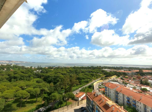 Bright Apartment in Laranjeiro, Lisbon  (SEP-MAY Only)