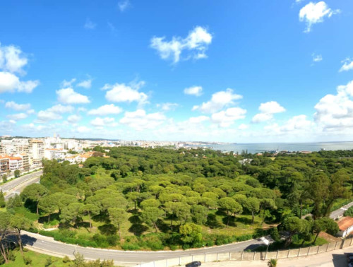 Bright Apartment in Laranjeiro, Lisbon  (SEP-MAY Only)
