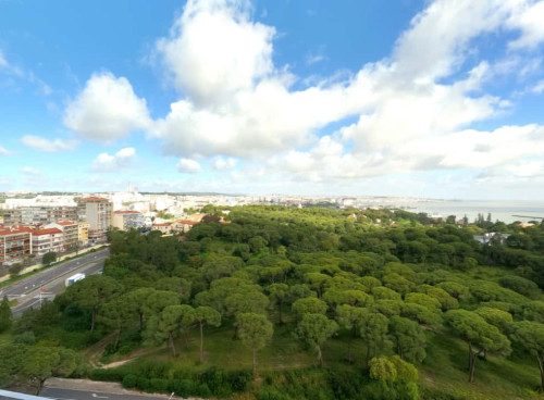 Bright Apartment in Laranjeiro, Lisbon  (SEP-MAY Only)