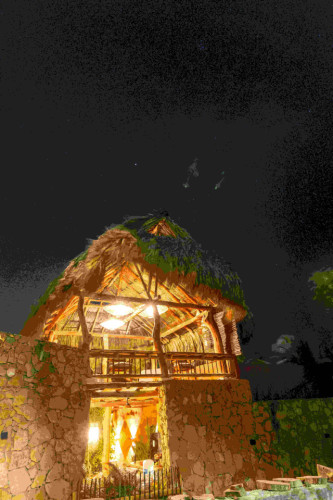 Santa Veronica Home - Gallery - 15