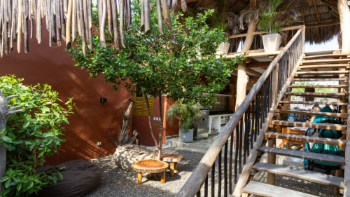 Santa Veronica Home - Gallery - 65