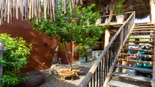 Santa Veronica Home - Gallery - 62
