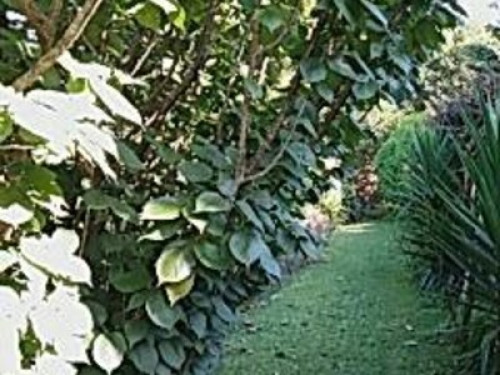 Large comfortable Country retreat