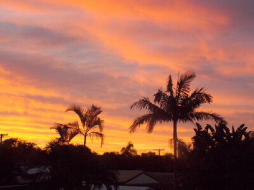 friendly-caring-and-fun-family-brisbane-173935819920241024023318AM