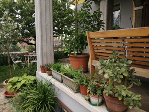 Camere