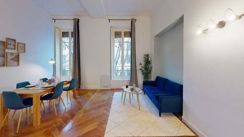Beautiful Spacious Apt. near Passerelle du Collége
