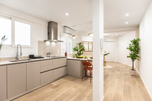 Bright apartment near Plaça Espanya