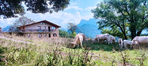 Solord Home - Gallery - 34
