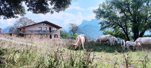 Beautiful house 15 minutes from Sant Llorenç de Moruny