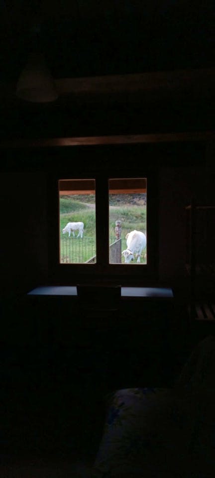  Private Room III  -  Beautiful house 15 minutes from Sant Llorenç de Moruny  - Gallery -  12