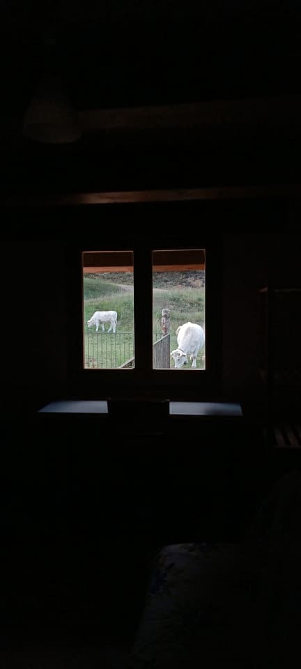  Private Room III  -  Beautiful house 15 minutes from Sant Llorenç de Moruny  - Gallery -  24