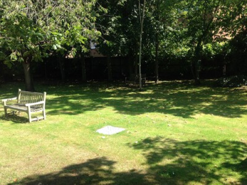 Friendly family  near city centre