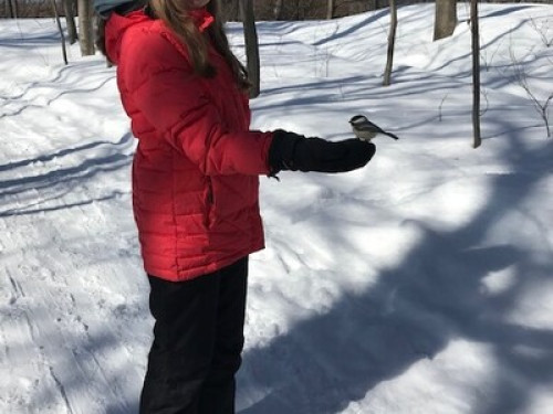 TOUT PRÈS DE TOUT (femme seulement)