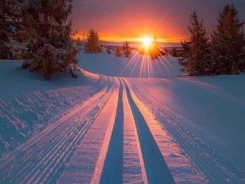 TOUT PRÈS DE TOUT (femme seulement)