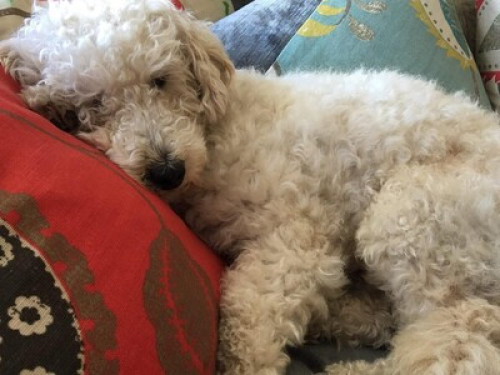 Arts and entertainment district