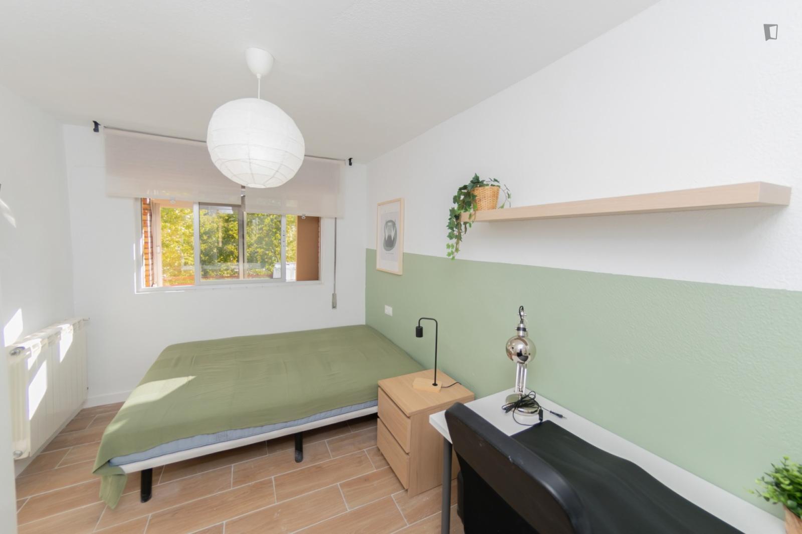 Appealing Single Bedroom - Appealing single bedroom - Gallery - 1