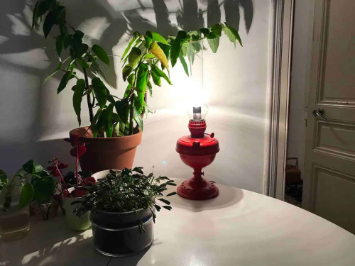 Apartment in Strada Sen. Ernesto Marsaglia, Sanremo for 70 m² with 2 bedrooms - Gallery - 6