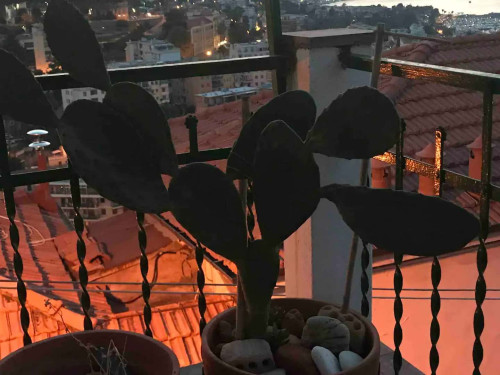 Apartment in Strada Sen. Ernesto Marsaglia, Sanremo for 70 m² with 2 bedrooms