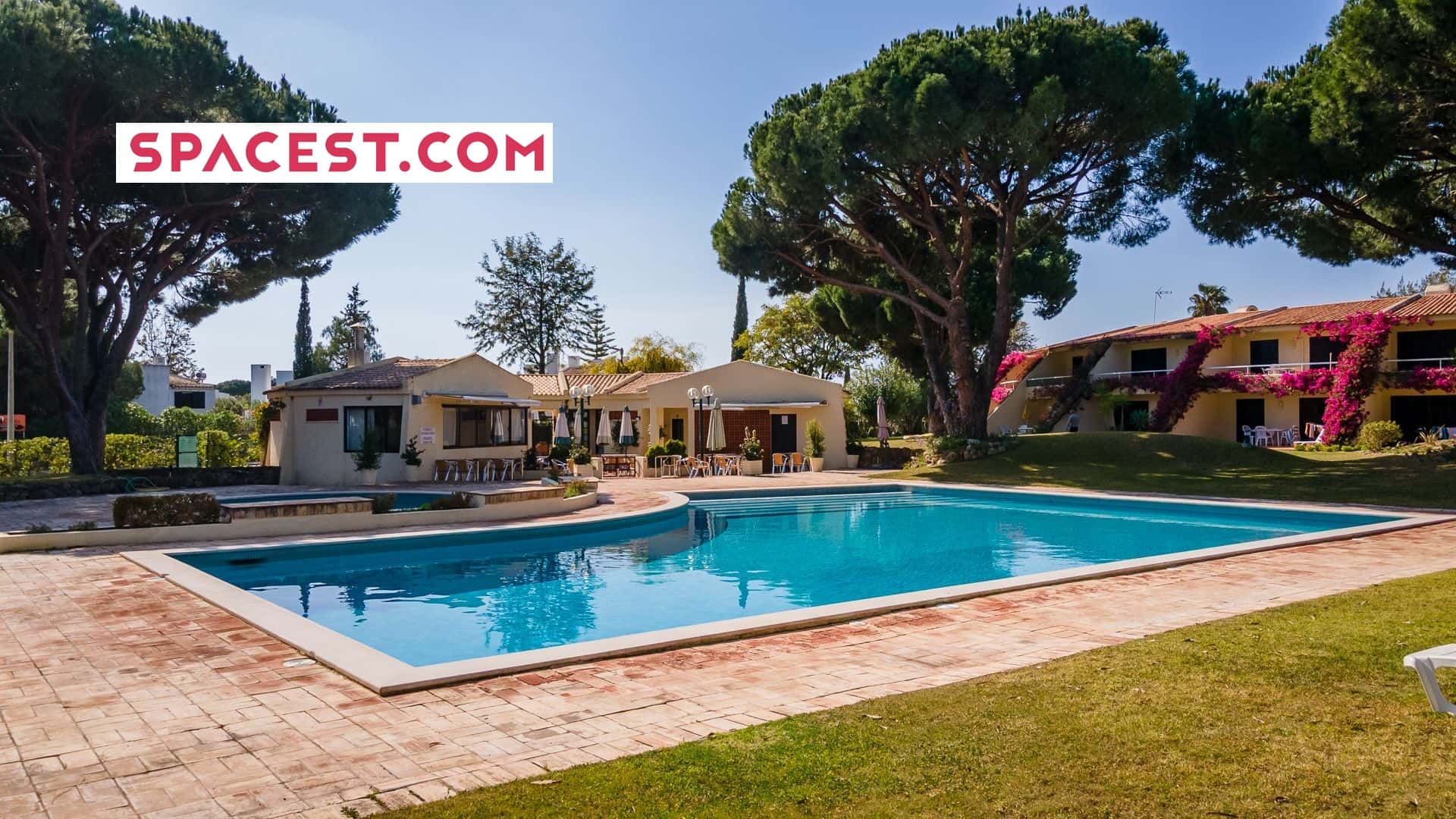  Gorgeous 2BDR W/Patio & Pool  -  Gorgeous 2BDR W/Patio & Pool  - Gallery -  1