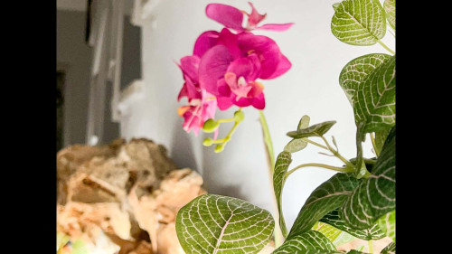 Loulé Sunny Retreat 2 - Gallery - 19