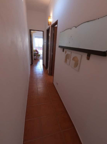 Cosy T1 Apartment in Algarve, S. Brás de Alportel (SEP-MAY Only) - Gallery - 22