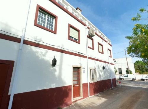 Cosy T1 Apartment in Algarve, S. Brás de Alportel (SEP-MAY Only) - Gallery - 7