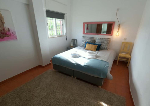 Cosy T1 Apartment in Algarve, S. Brás de Alportel (SEP-MAY Only) - Gallery - 26