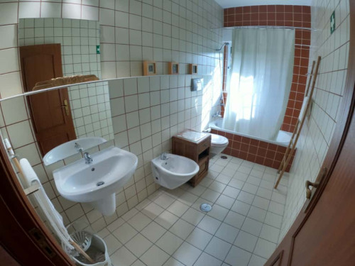 Cosy T1 Apartment in Algarve, S. Brás de Alportel (SEP-MAY Only) - Gallery - 30