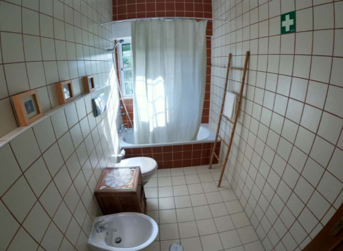Cosy T1 Apartment in Algarve, S. Brás de Alportel (SEP-MAY Only) - Gallery - 28