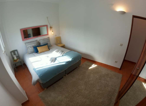 Cosy T1 Apartment in Algarve, S. Brás de Alportel (SEP-MAY Only) - Gallery - 25