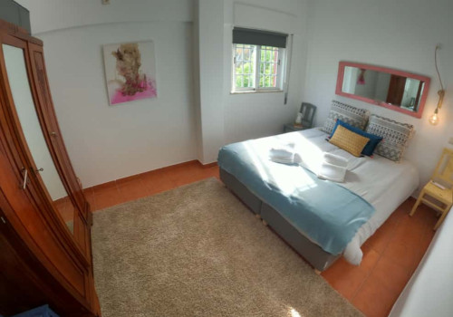 Cosy T1 Apartment in Algarve, S. Brás de Alportel (SEP-MAY Only) - Gallery - 24