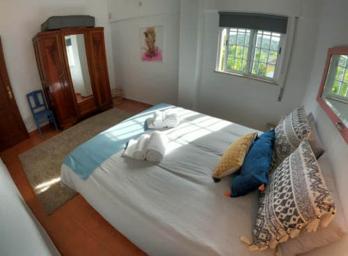 Cosy T1 Apartment in Algarve, S. Brás de Alportel (SEP-MAY Only) - Gallery - 23