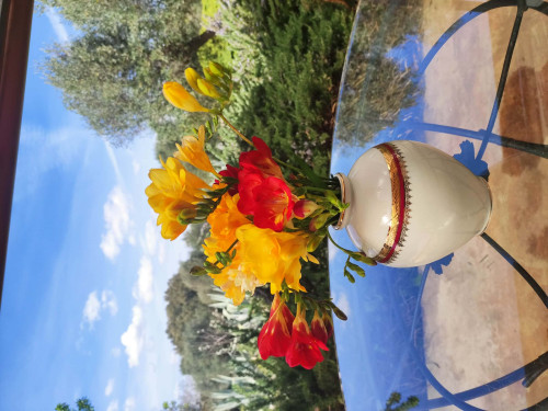 Villa in Contrada Pascarosa, Ostuni di 250 m² con 3 camere - Gallery - 21